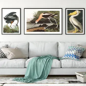 בציר ציפור הדפסה אודובון ציפורים פוסטרים ורוד פלמינגו שקנאי אנפה כחולה לבנה אנפה קיר אמנות בד הציור חיים עיצוב חדר